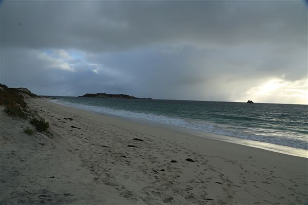 Hamelin Bay (6/06/2023 - Credits: Aidan O'Bryan)