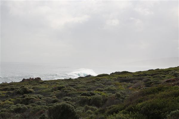 Yallingup - Torpedo Rock (6/06/2023 - Credits: Aidan O'Bryan)