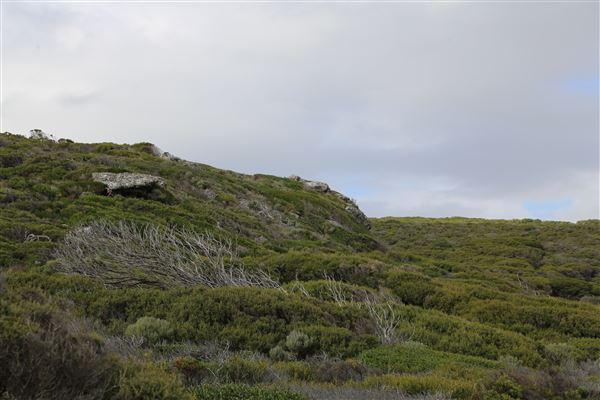 Yallingup - Torpedo Rock (6/06/2023 - Credits: Aidan O'Bryan)