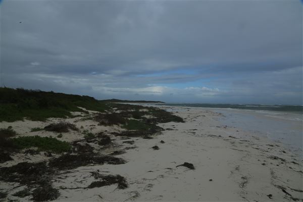 Hangover Bay (6/06/2023 - Credits: Aidan O'Bryan)