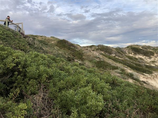 Claytons Beach (6/06/2023 - Credits: Aidan O'Bryan)