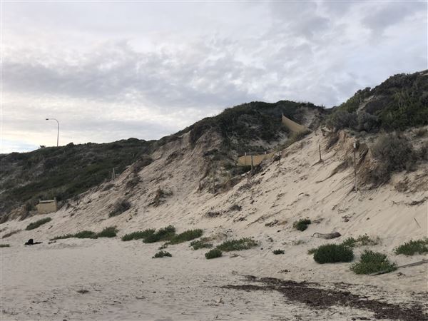 Claytons Beach (6/06/2023 - Credits: Aidan O'Bryan)