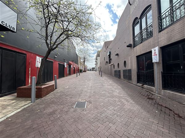 Northbridge precinct (29/09/2023 - Credits: Shea Walsh)