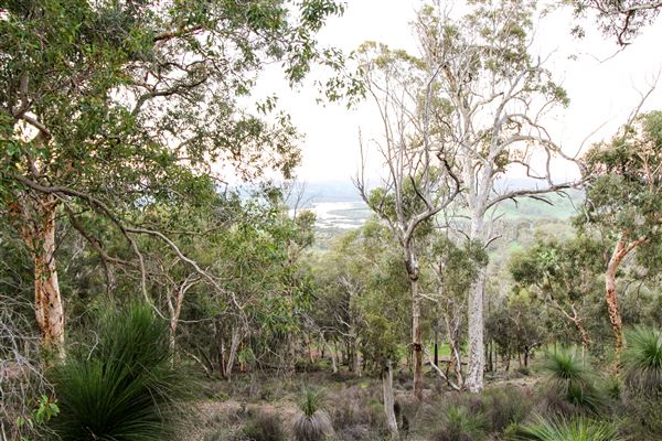 The Chittering Valley (14/06/2024 - Credits: Tourism Western Australia)