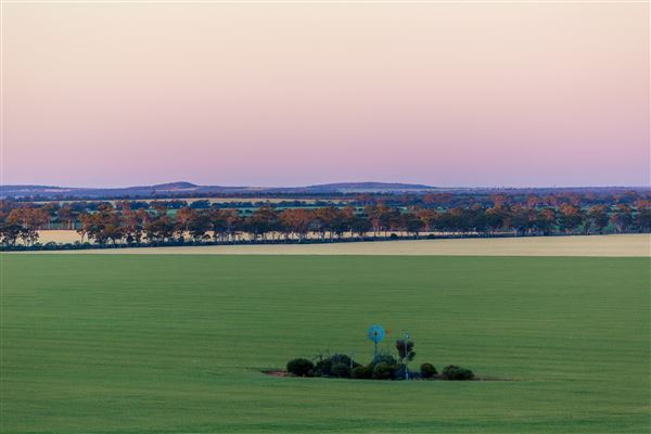 Wheatbelt Region (26/07/2024 - Credits: Tourism Western Australia)