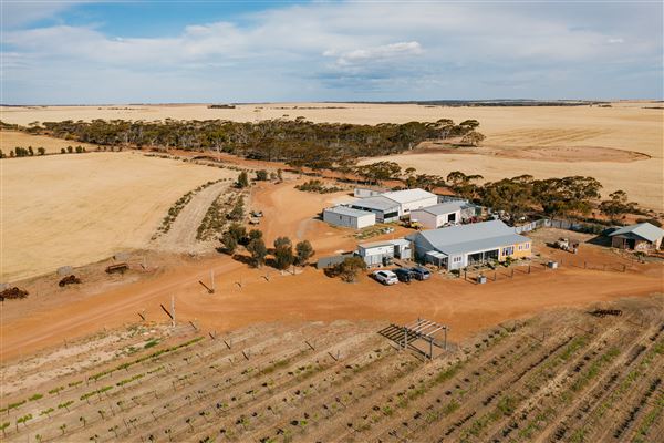 Wheatbelt Region (26/07/2024 - Credits: Tourism Western Australia)