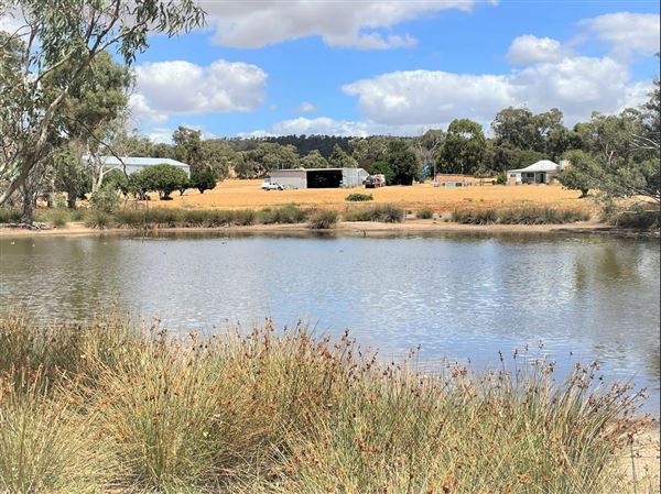 Northam (29/07/2024)