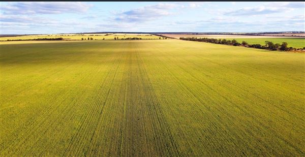 Wheatbelt Region (20/09/2024)