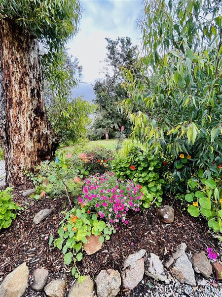 Quenda Cottage (5/10/2024 - Credits: submitted by: Emma  Read)