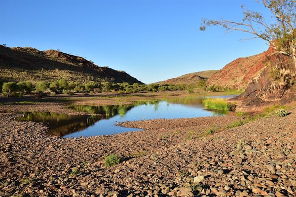 Cheela Plains Station (23/10/2024)