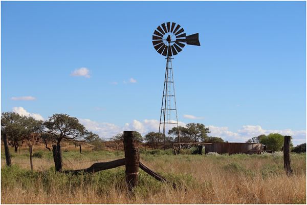 Cheela Plains Station (23/10/2024)