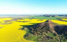 Chapman Valley (25/11/2024)