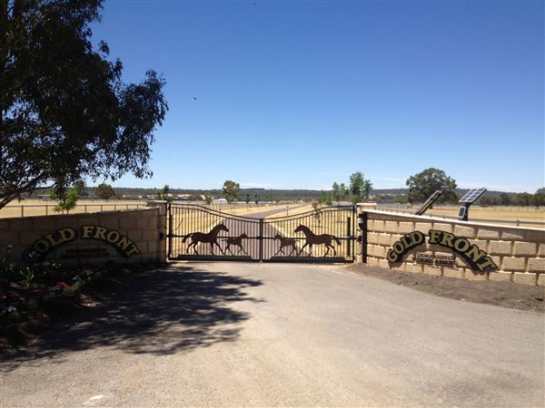 Gold Front Breeding & Racing (28/01/2025)