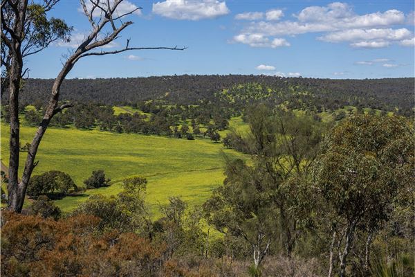 The Chittering Valley (12/02/2025)