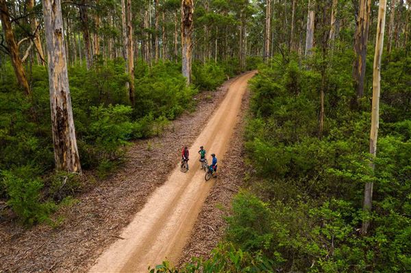 Nannup (13/02/2025)