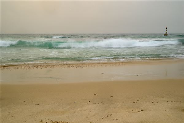 Cottesloe Beach (20/05/2025 - Credits: Xander Kabat)