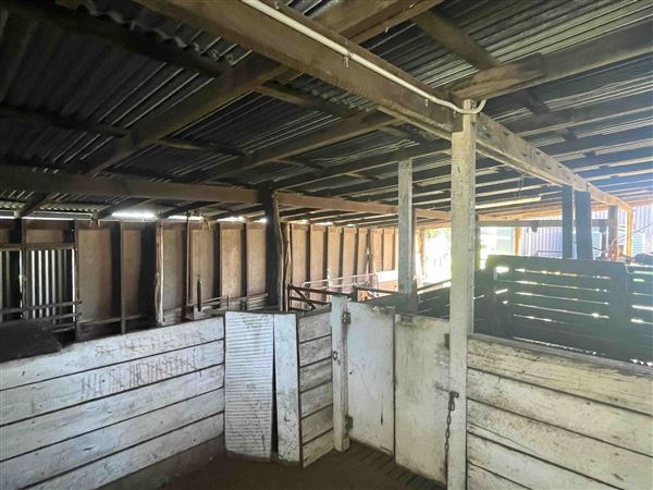 Shearing Shed @ Duke's Vineyard (28/06/2025 - Credits: Sarah Date)