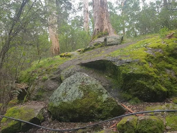 Porongorup National Park (4/07/2025)