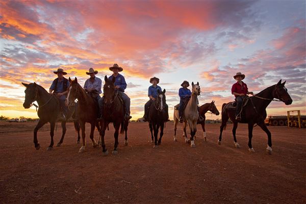 Pardoo Wagyu Station (30/07/2025)