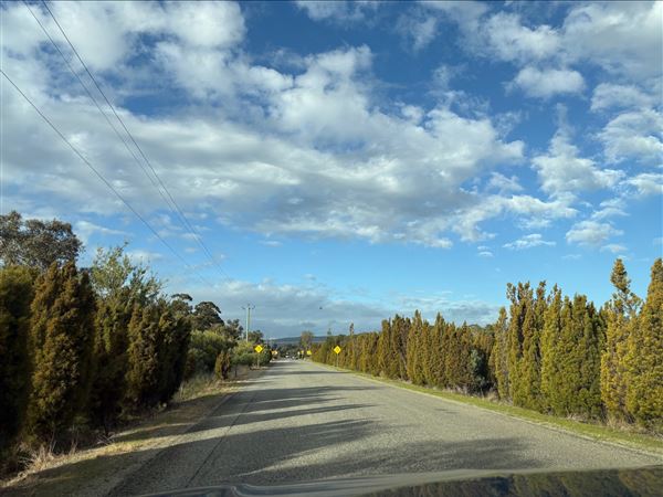Abernathy Road (13/08/2025 - Credits: Gabby Cole)
