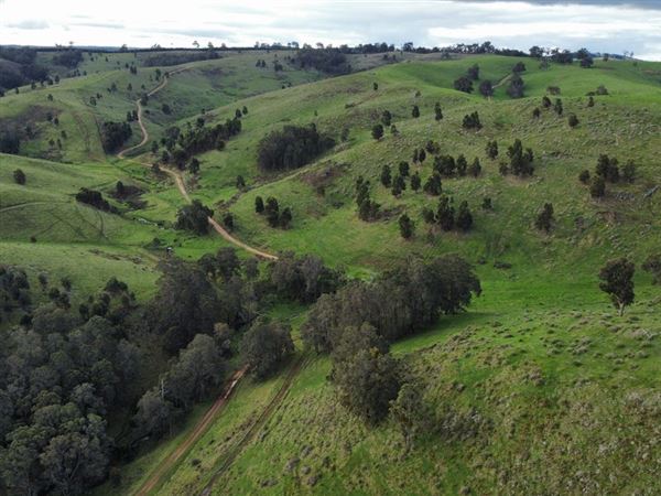 Nannup (12/12/2025)