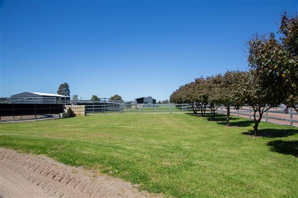 Gold Front Breeding & Racing (11/03/2026 - Credits: Louise Brady)