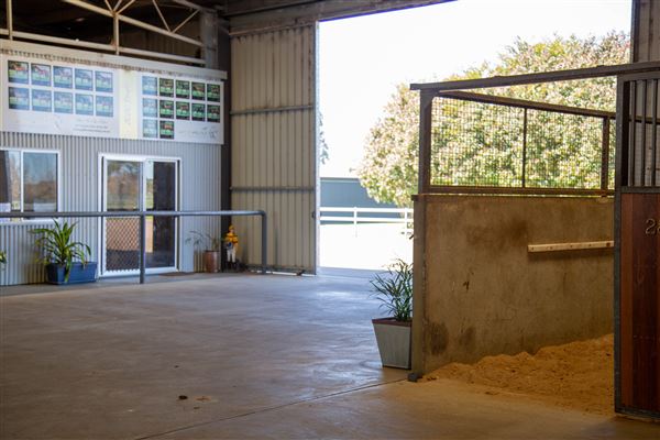 Gold Front Breeding & Racing (11/03/2026 - Credits: Louise Brady)