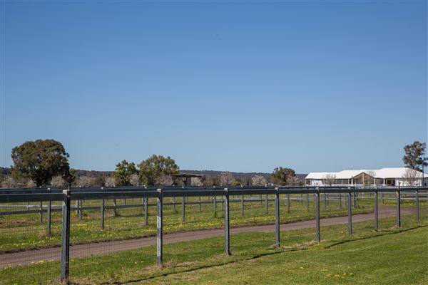 Gold Front Breeding & Racing (11/03/2026 - Credits: Louise Brady)