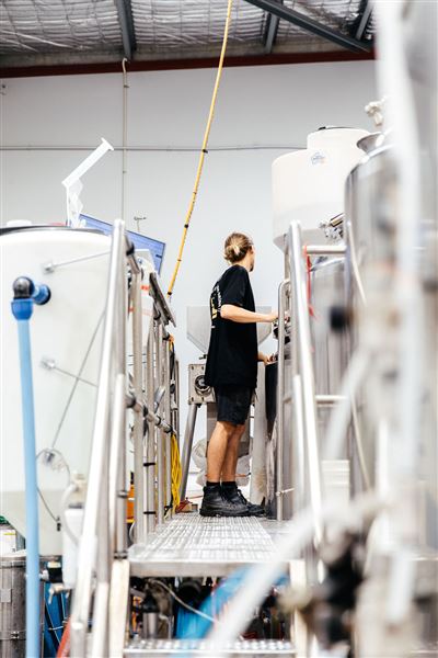 Limestone Coast Brewery (1/05/2026 - Credits: Limestone Coast Malaga)
