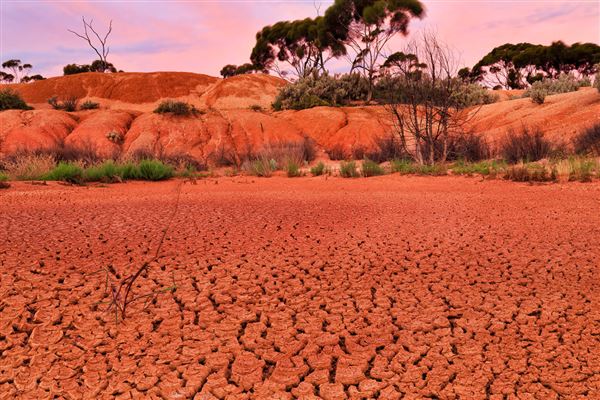 Goldfields - Esperance Region (17/06/2026)