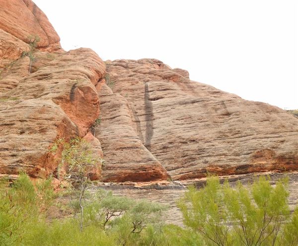 Bungle Bungles Range - Purnululu National Park (17/07/2026 - Credits: DBCA)