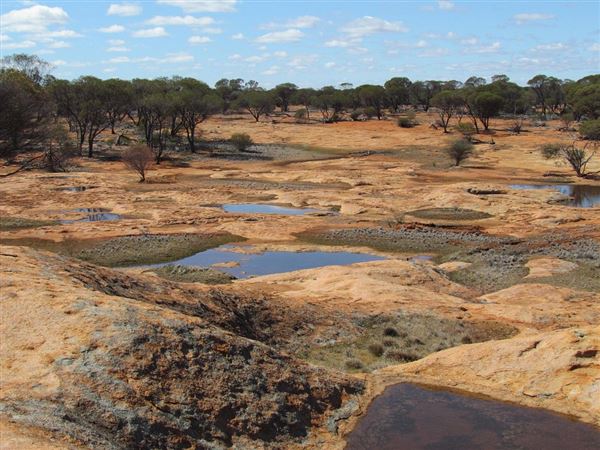 Kalgoorlie-Boulder - Overview (17/07/2026)