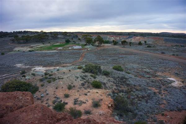 Coolgardie Outskirts (19/03/2015 - Credits: Tim Burns)