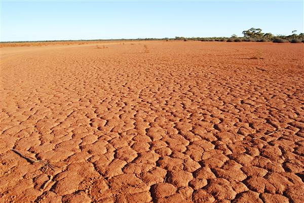 East Kalgoorlie (20/03/2015)