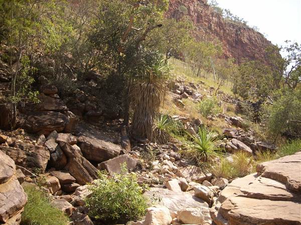 El Questro - Emma Gorge (20/03/2015)
