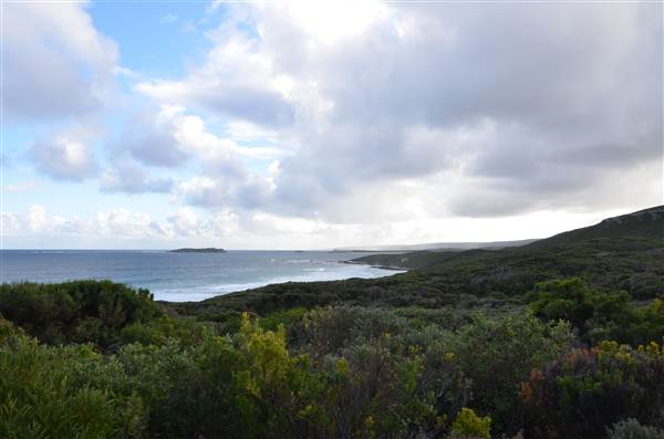 Foul Bay (20/03/2015)