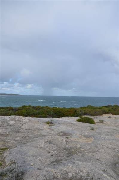 Hamelin Bay (23/03/2015)