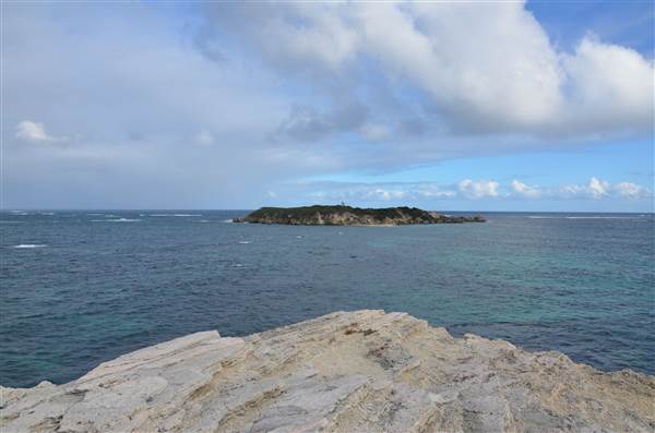 Hamelin Bay (23/03/2015)