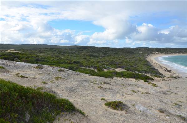 Hamelin Bay (23/03/2015)