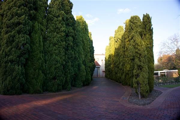 Karrakatta Cemetery (24/03/2015)
