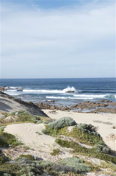 Wilyabrup - Moses Rock (24/03/2015)