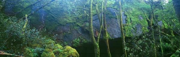 Porongorup National Park (24/03/2015)