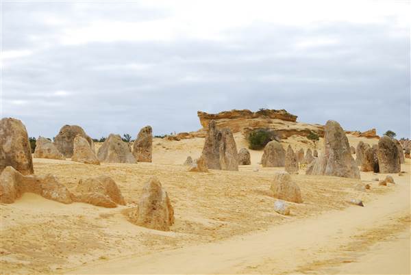 Pinnacles - Nambung National Park (25/03/2015)