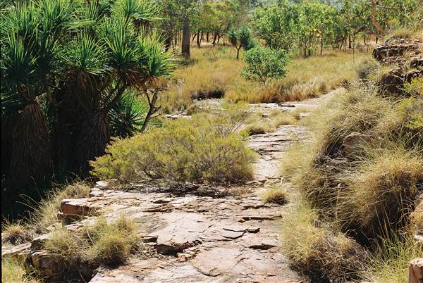 Tier Gorge (25/03/2015)