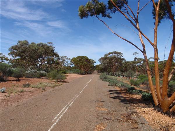 Kalgoorlie-Boulder - Overview (21/03/2015)