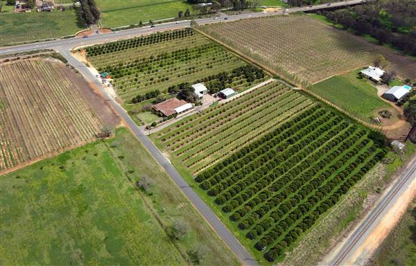 Great Northern Highway - Upper Swan (30/09/2015 - Credits: Helicam Aerial Imaging)