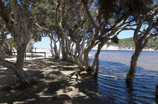Nanarup Beach & Road (20/10/2015)