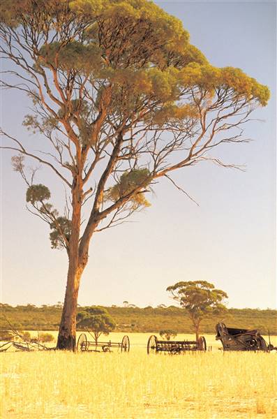 Wheatbelt Region (4/11/2015 - Credits: Tourism of WA)