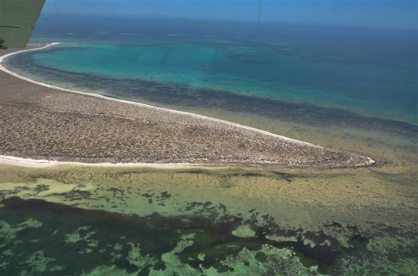 Abrolhos Islands - West Wallabi Island (15/12/2015 - Credits: Chris Veerhuis)