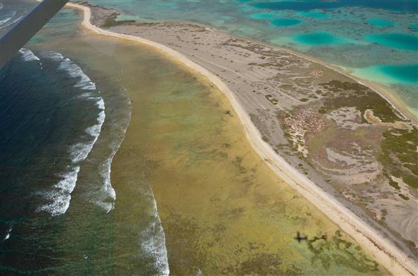 Abrolhos Islands - Pelsaert Island (15/12/2015)